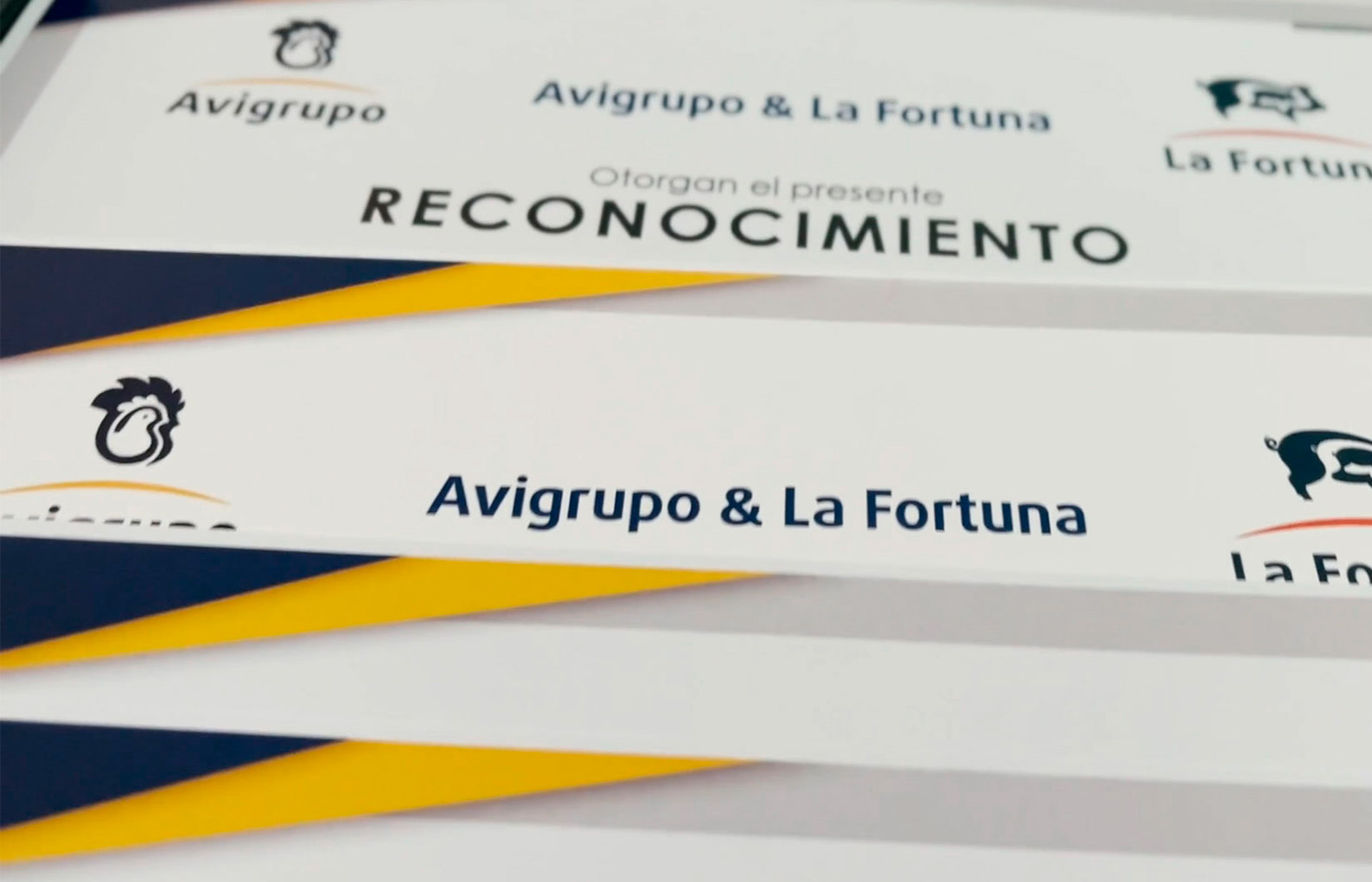 Reconocimiento Avigrupo