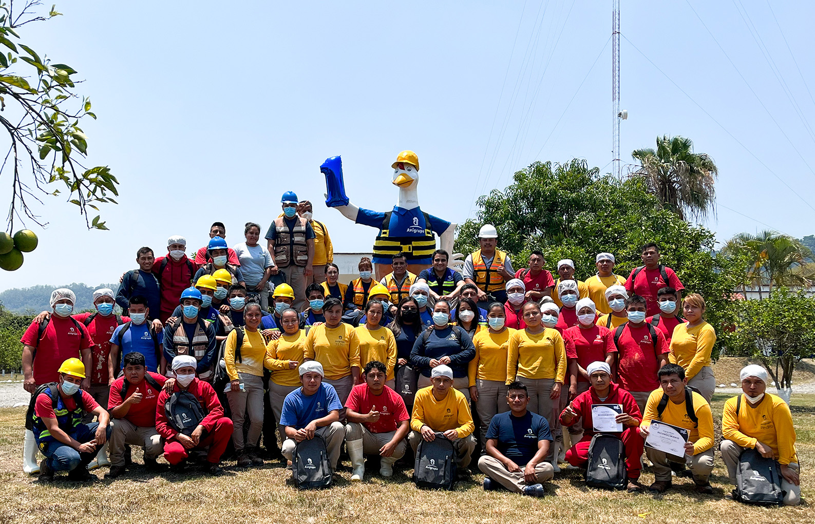 Convivio Avigrupo