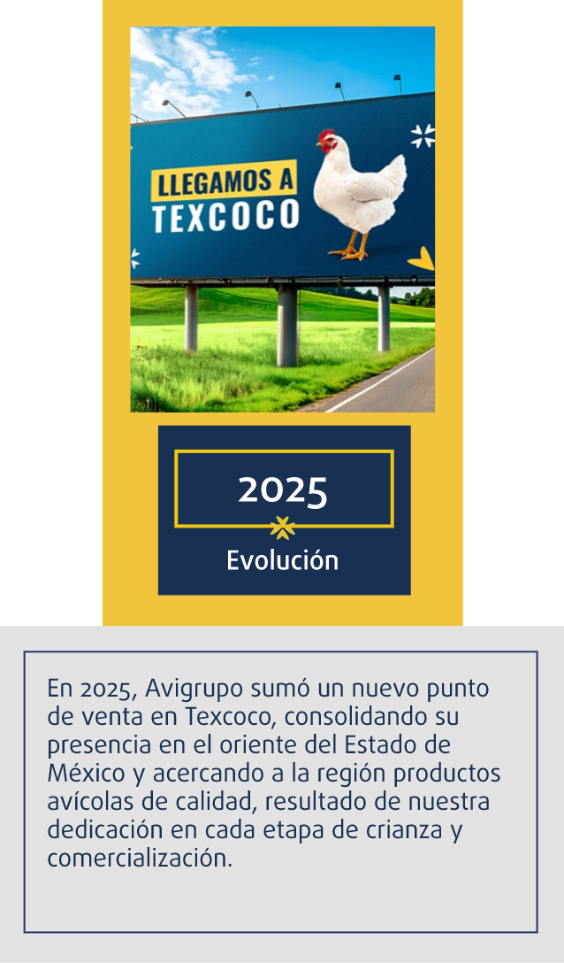 Corporativo Avigrupo